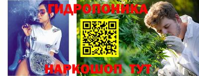 сатива Дубна