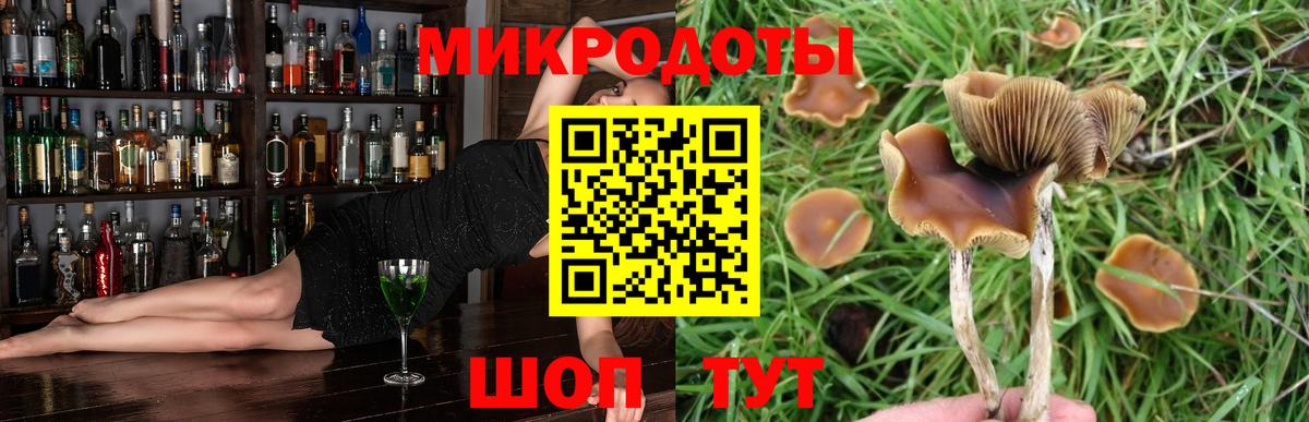 Псилоцибиновые грибы Psilocybine cubensis Наро-Фоминск