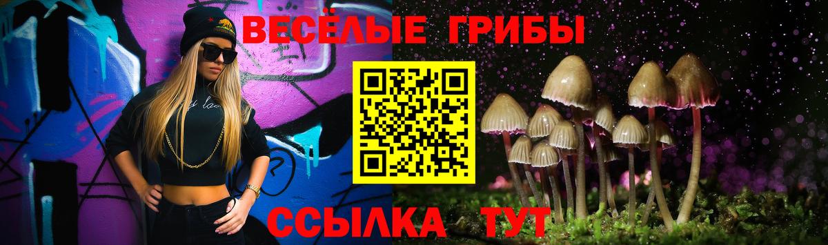Наро-Фоминск  Галлюциногенные грибы Psilocybine cubensis  Вход с VPN  Псилоцибиновые грибы GOLDEN TEACHER 